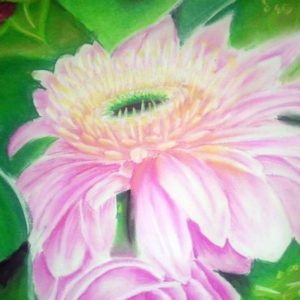 Pink Petals
