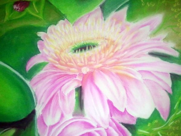 Pink Petals