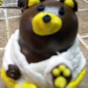 Kung Fu Cupcakes
