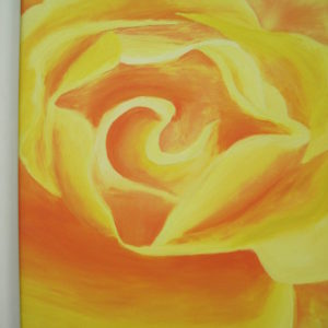 Yellow Rose of Texas