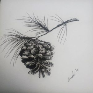 Baby Pine