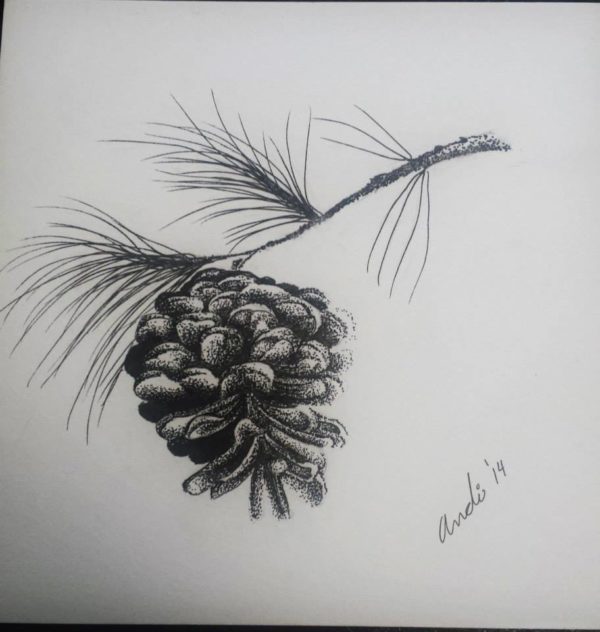 Baby Pine