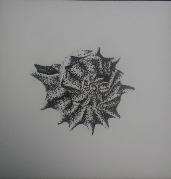 Pointillism Shell