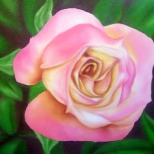 Roses Are Pink