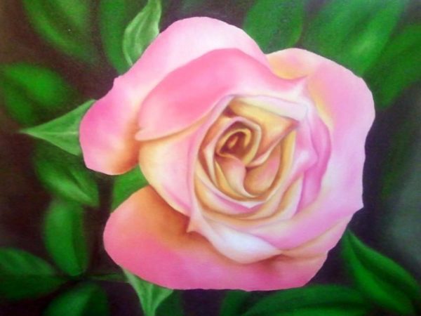 Roses Are Pink