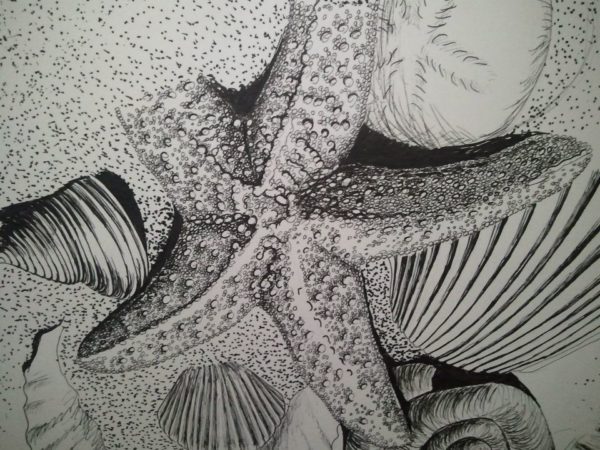 Are We Going Swimming, Starfish?